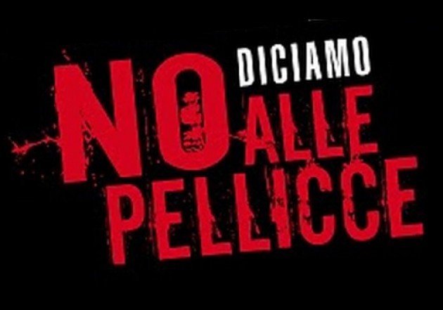 Nessuna miss è bellissima con la pelliccia
