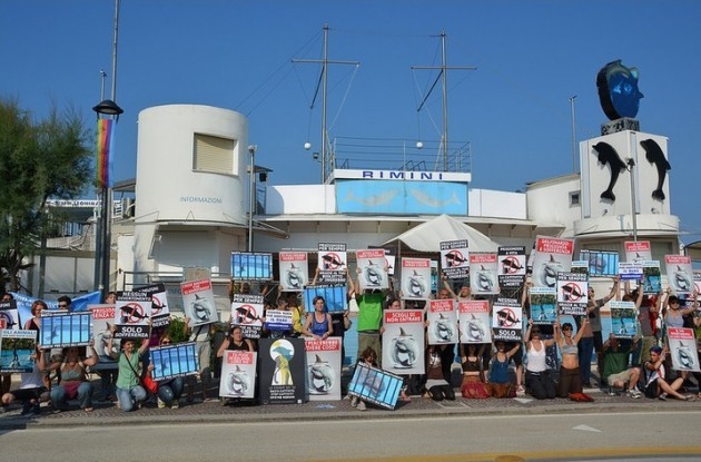  Rimini. Un grande NO contro la riapertura del Delfinario.