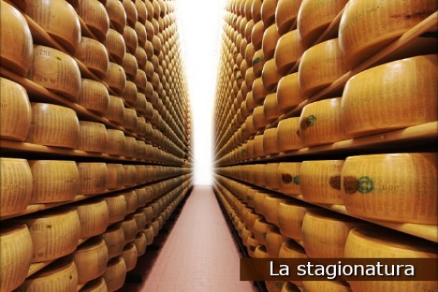  Sequestrate dai Nas di Parma oltre 2.400 forme di Parmigiano Reggiano