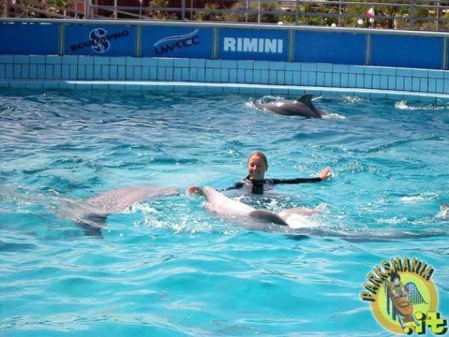 Rimini Protesta contro il delfinario sabato 5 luglio  2014