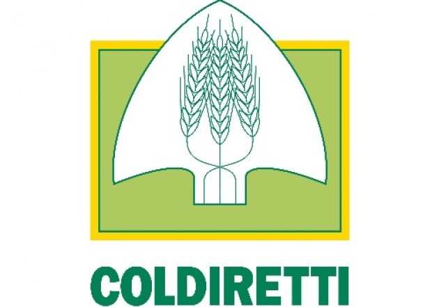 Lombardia, Coldiretti in difesa del riso italiano. Incontro con prefetti e giunta