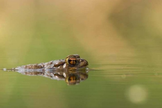 Il museo di Storia Naturale di Cremona ospita due nuove mostre fotografiche