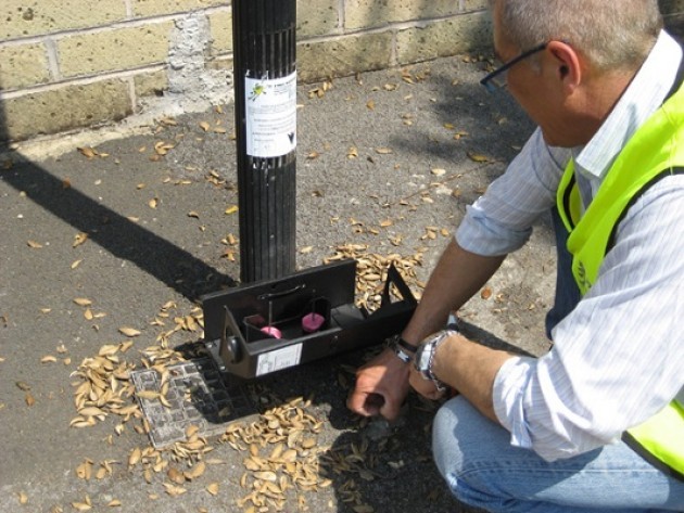 Esche per topi. Pericolose per umani e animali domestici