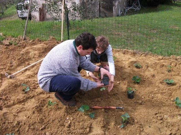 Agricoltura sociale, la camera approva la legge | on. F.Bordo (Sel Cremona)