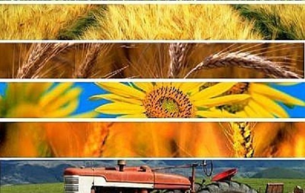 Flash dal mondo agroalimentare  luglio 2014