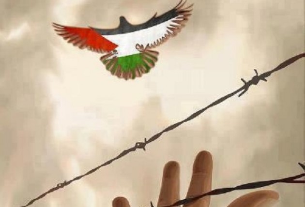 A Cremona raccolta urgente di medicinali per Gaza