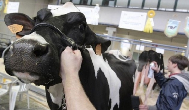 On.Cova: Competitività: per la zootecnia ora c’è il consulente veterinario.