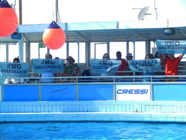 Rimini: Blitz al Delfinario