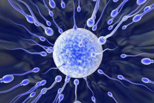 Firenze. Fecondazione eterologa. Gia' pieno settembre a ospedale Careggi