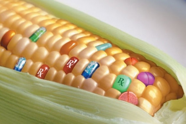 Monsanto ritira sementi transgeniche dall'Italia| F. Bordo ( Sel Cremona)