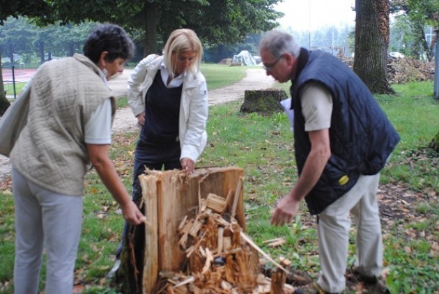 Cremona Alberi al Campo Scuola, prosegue la messa in sicurezza