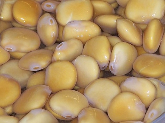 Lupini a rischio allergia