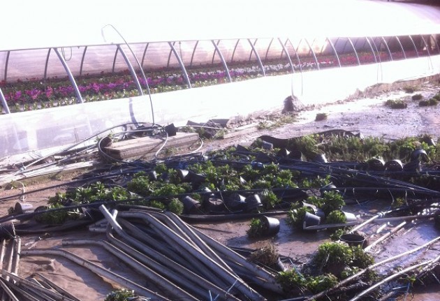 Bergamo.Maltempo: serre di fiori allagate dall’esondazione dei torrenti Malmera e Cherio