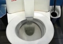 WC In Germania li puliscono così