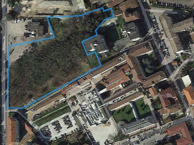 Cremona In città saranno tagliati 2500 quadrati di bosco e nessuno dice nulla.