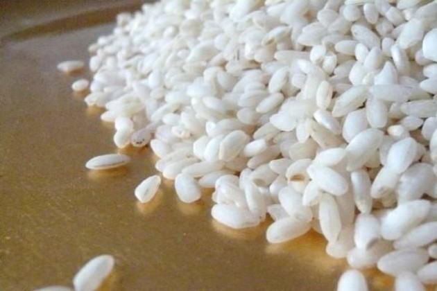 Lombardia. La fredda estate del riso: spighe “bloccate”, produzione –10%