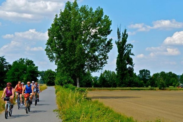 Cremona. La via Lattea del FAI, alla scoperta della campagna lombarda