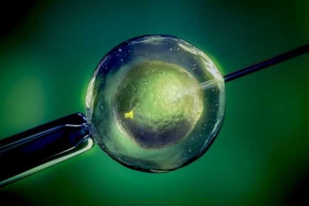Lombardia. Il Movimento 5 Stelle attacca il ‘califfato ciellino’ sulla fecondazione eterologa