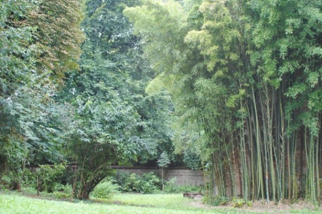 Cremona. Il giardino di Palazzo Grasselli si apre ai bambini