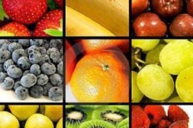 Cremona. Le attività della Settimana Mondiale del Vegetarianesimo