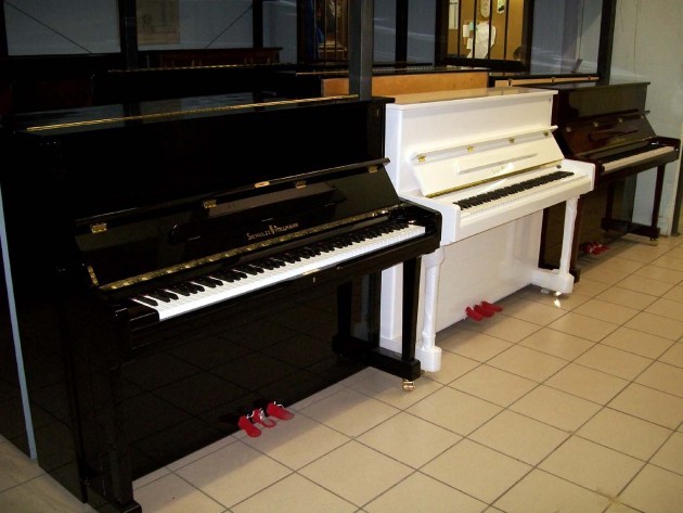 Cremona Mondomusica e Pianoforte Gli Eventi : Raro ed Adorno al Pianoforte