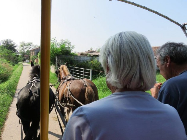 In Carrozza per cascine: Cultura e Gusto nel Cremasco