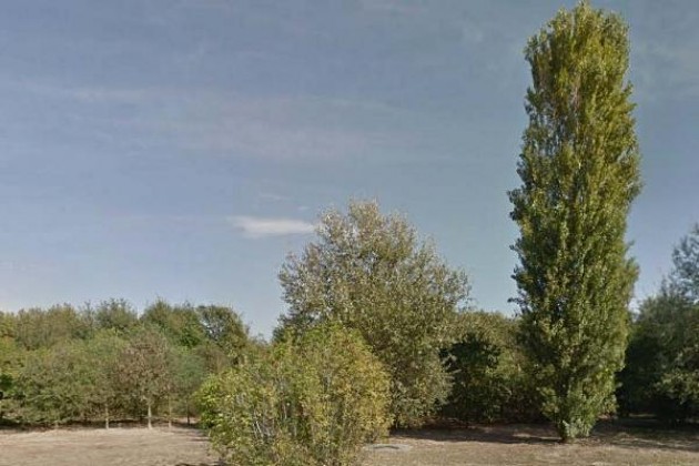 Iniziano a Cremona i lavori per il miglioramento del bosco filtro Tamoil
