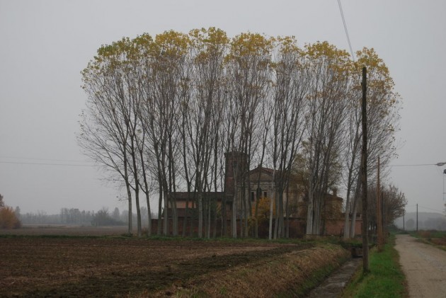 L’oratorio della Madonna della Senigola (Pescarolo Cremona)