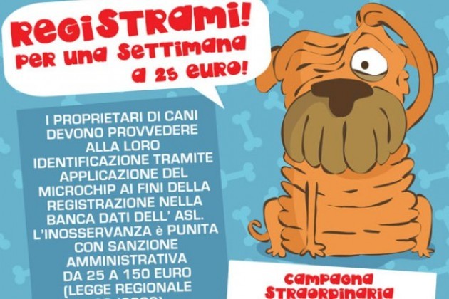 Microchip per cani e gatti in provincia di Cremona, tra Spino, Pandino e Rivolta
