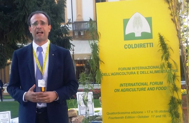 Primo studio Coldiretti su potenzialità terapeutiche cannabis 