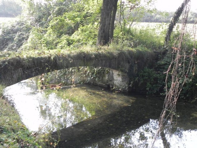 Resoconto della camminata sul Pianalto della Melotta