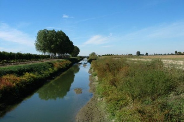 Distretto biologico di Cremona e Oglio Po, le precisazioni del GAL