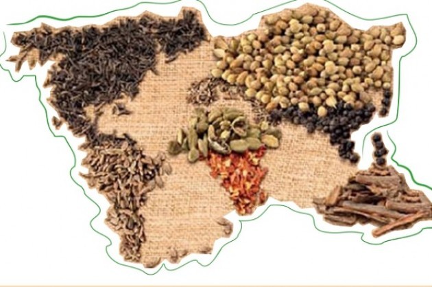 Expo dei Popoli.Cibo e democrazia: disequilibri del commercio internazionale