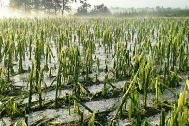 Maltempo in Lombardia, a Cremona e non solo: campi allagati e ponti chiusi