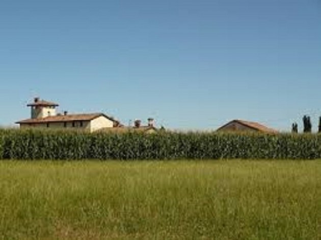 Osservatorio Agri&Food di CremonaFiere n. 35/2014