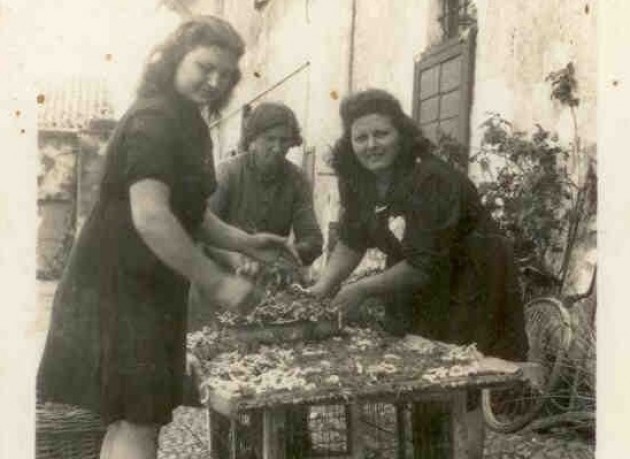 Allevare bachi da seta in casa. Una tradizione cremonese
