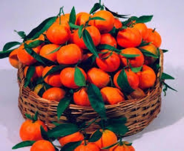 Clementine antiviolenza' il 25 novembre