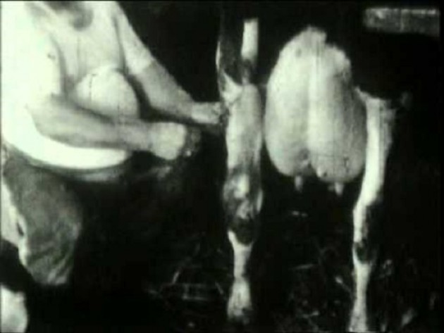 La stalla, il bergamino ed i ‘paisan’ nelle cascine cremonesi