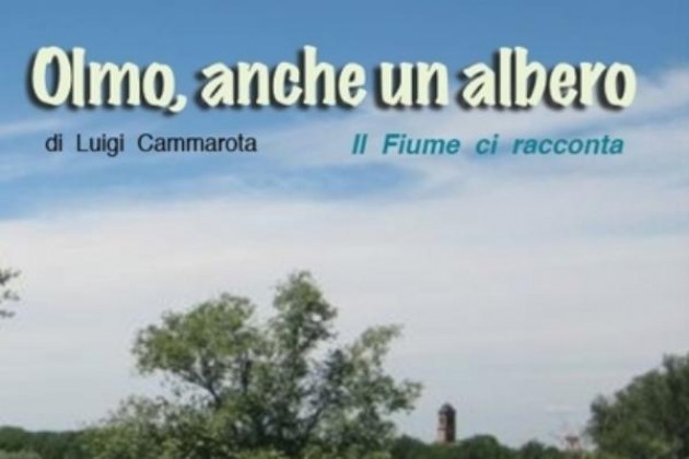 Scienze a Cremona, tra incontri, visite guidate e proiezioni