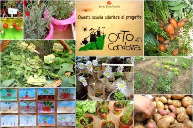 Comune, Istituto Comprensivo Cremona 4 e Slow Food: arriva ‘Orto in condotta’