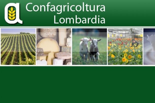 Confagricoltura Lombardia: ‘CUN Suini, decisione inevitabile degli allevatori’