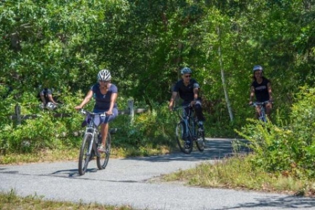 Da Cremona a Gerre de’ Caprioli, oltre 50 bici al Parco del Po e del Morbasco
