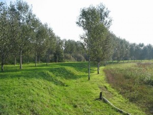 Nuovo bosco filtro in via Bredina come compensazione dell’ampliamento di Katoen