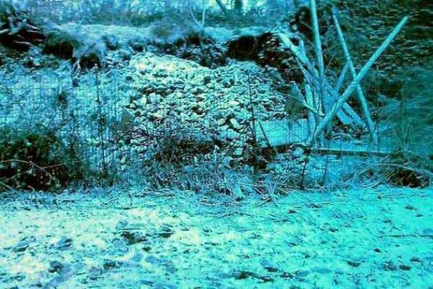 Crollo della cinta muraria gonzaghesca a Bozzolo, urgono interventi