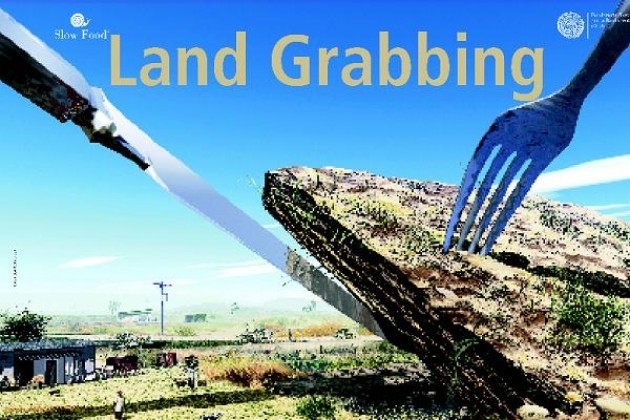 Land grabbing, il colonialismo del XXI secolo: Cremona denuncia