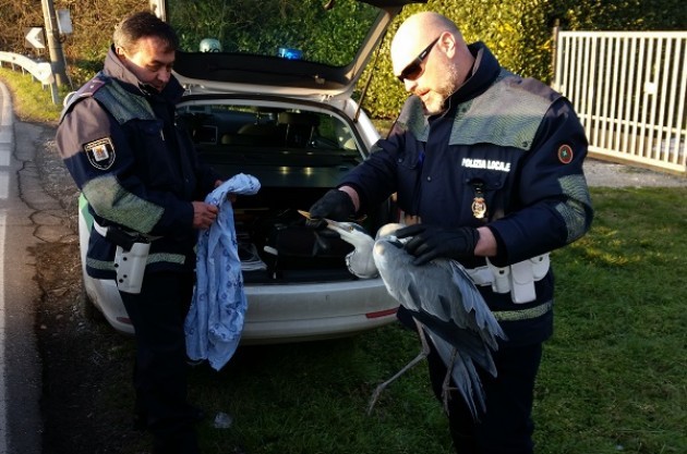 Polizia locale Provinciale di Cremona, un 2015 intenso di attività
