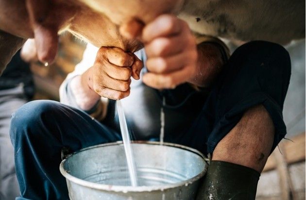 Coldiretti Cremona: “Domani tutti a Milano per salvare il latte Made in Italy”