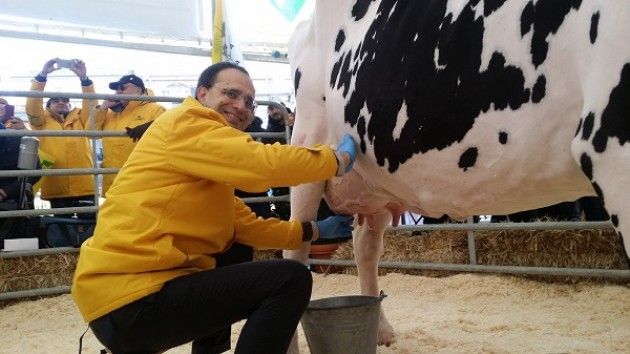 Crisi, alle stelle lo “spread” del latte: aumenta di 4 volte da stalla a scaffale