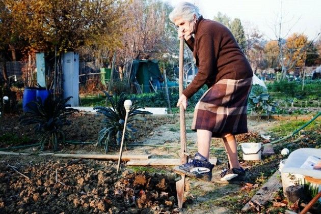 Gli ‘Orti Urbani’ di Italia Nostra a ‘Le Idee Expo 2015’