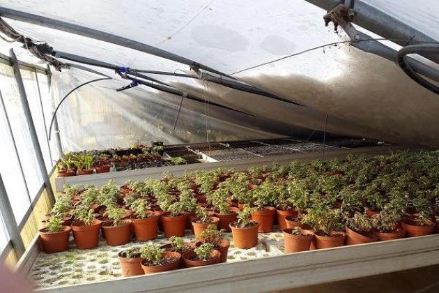 Nevicata a Cremona, un appello per risanare le strutture per disabili